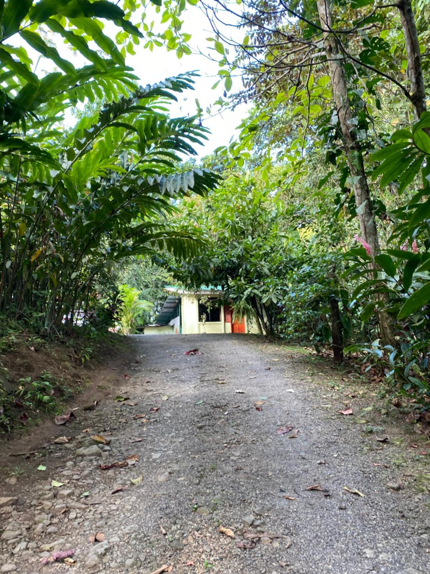 Campo Verde House, La Fortuna De San Carlos Luaran gambar